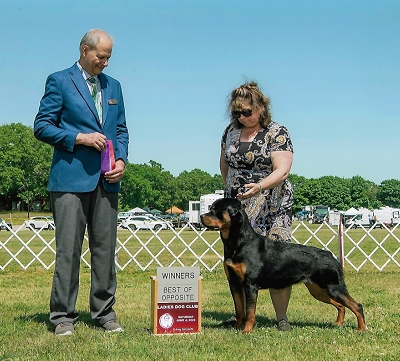 Beso Medieval's It Started With A Kiss